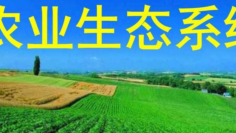 家庭购买有机蔬菜价格预算