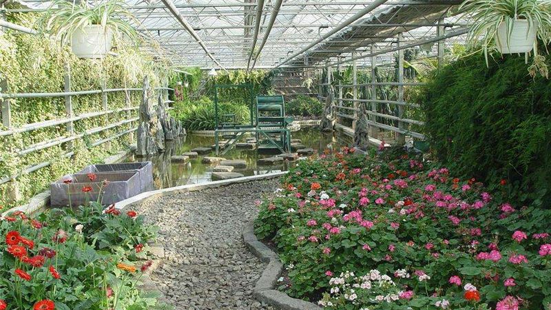 水果种植合作社年收入受天气影响大吗