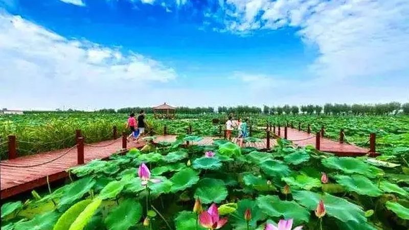 农业产业园规划：如何打造高效定制方案**
