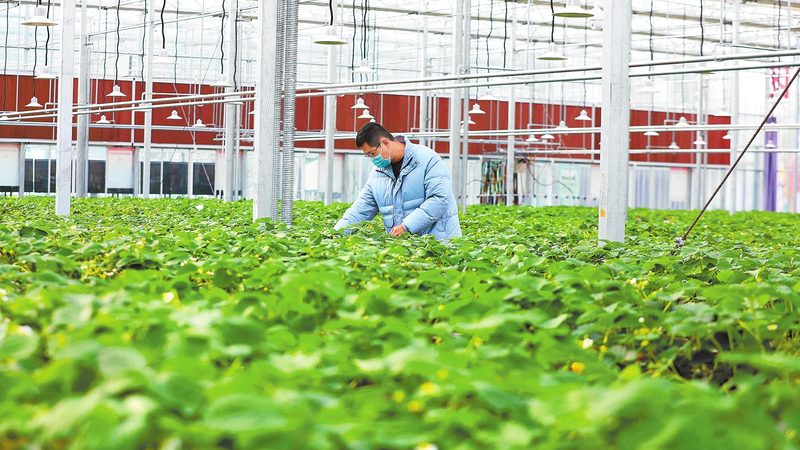 养殖项目投资回报率：如何科学评估与对比