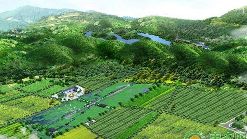 城市农业：如何打造高效生态种植模式**