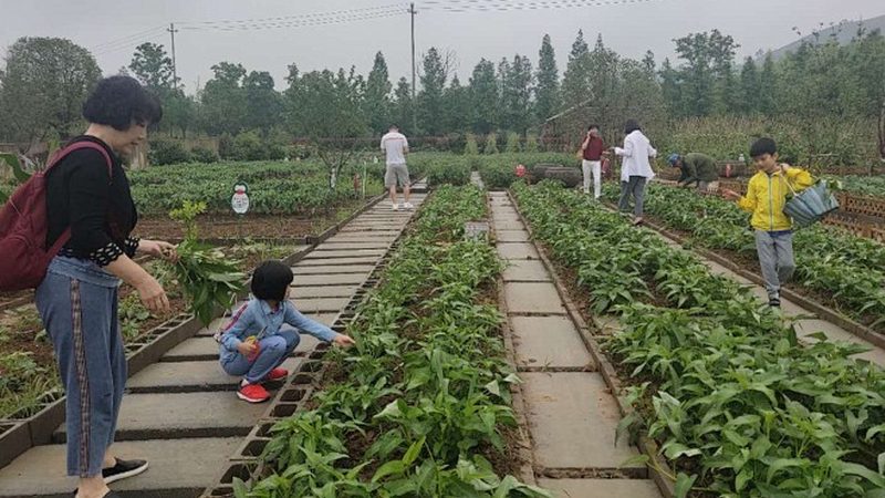 果蔬冷链物流哪家好？揭秘冷链物流的关键要素