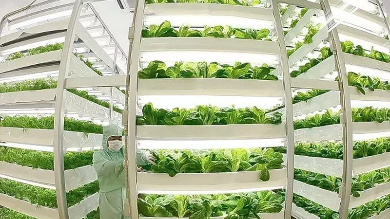 为了避免加盟合同中的陷阱，加盟者在签订合同时应采取以下措施：