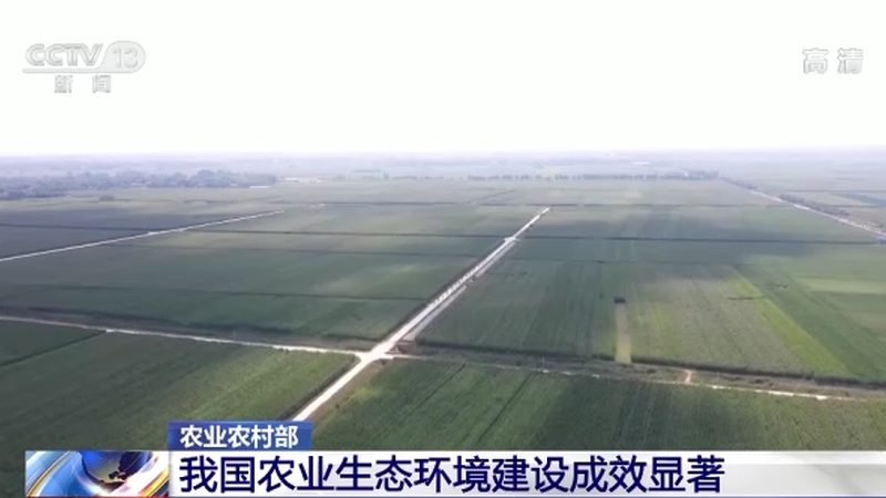 设施农业温室大棚：如何评估公司排名与选择合适方案
