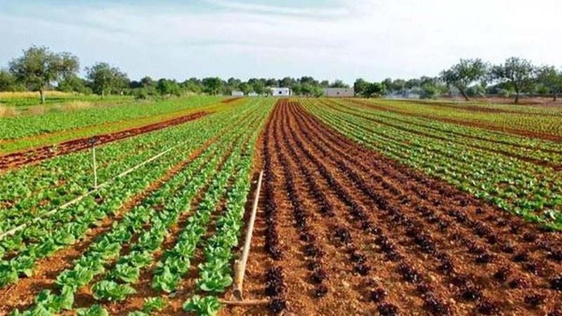 在众多绿色食品检测公司中，以下几家公司在广州具有较高的知名度和良好的口碑：