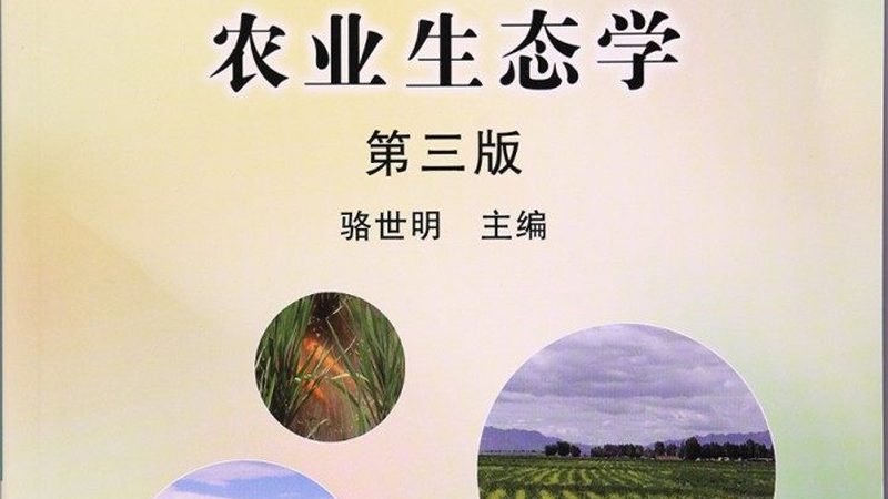 楼顶种果，土壤配方揭秘