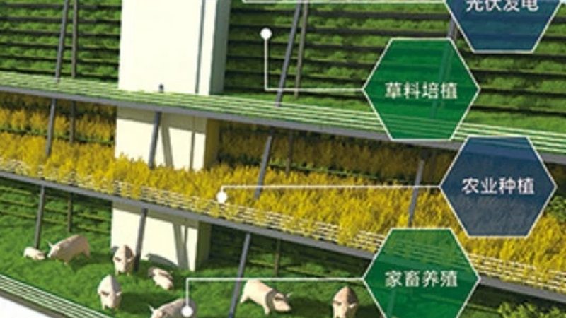 有机蔬菜代理加盟，启动资金到底花在哪