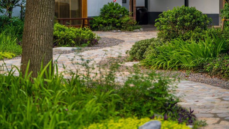 粮食种植定制方案：标准与实施要点