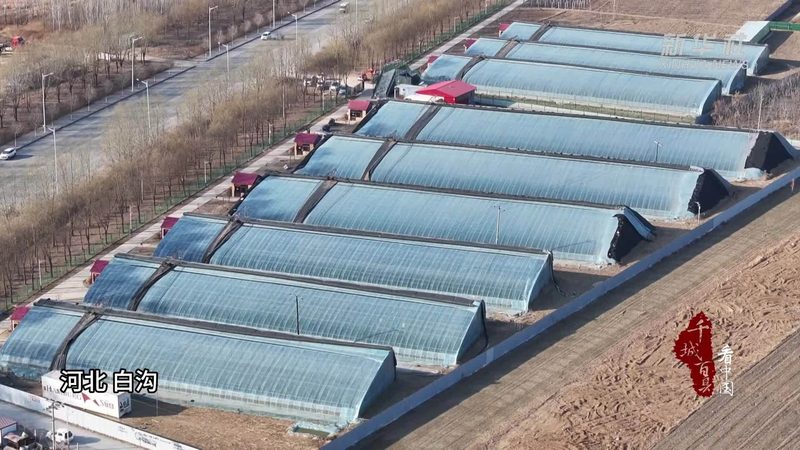 在山东众多水果种植基地中，以下几家生产厂家具有较高的知名度和良好口碑：