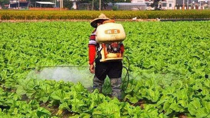 北京粮食合作社注册流程详解