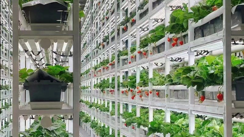 农产品配送利润分析表：揭秘高效配送背后的关键数据**