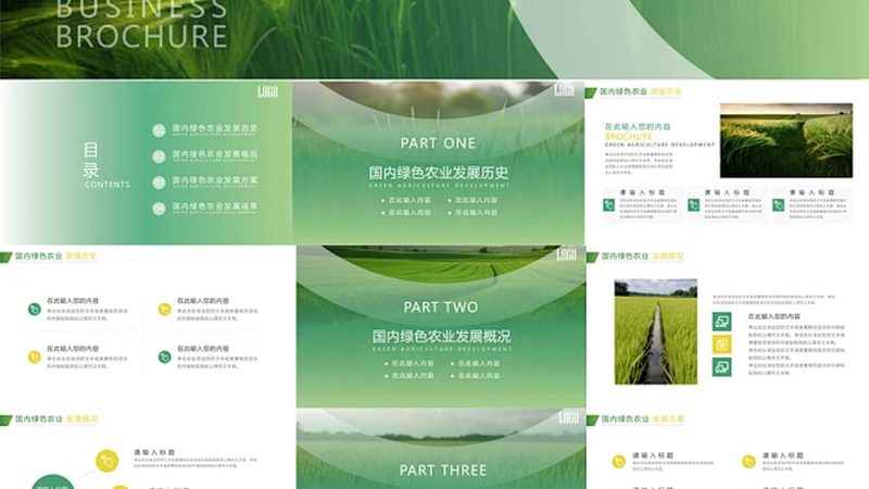 蔬菜基地的土壤正在经历一场无声的透支